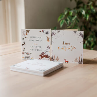 Nieuw ✨ 10 dubbele kerstkaarten Set A