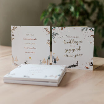 Nieuw ✨ 10 dubbele kerstkaarten Set B